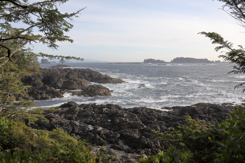 Illustration for article titled Trip Recap: 2017-12-09 on the Pacific Rim Highway to the Wild Pacific Trail
